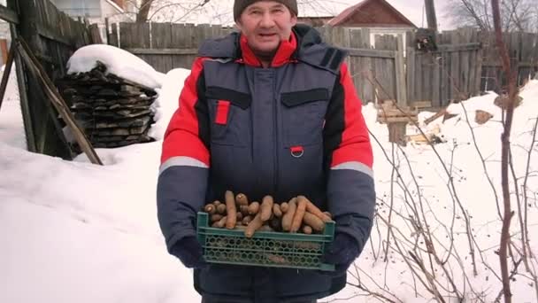 Großaufnahme von Mann Landwirt hält reife Möhren in Holzkiste im Garten. — Stockvideo