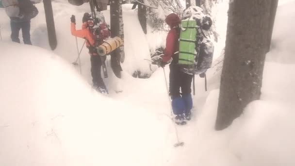 Cross-country skiing group ski touring. — Stockvideo