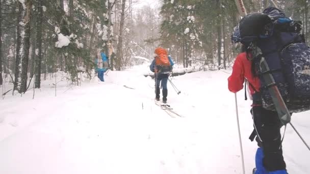 Группа лыжников катается на лыжах по стране. Счастливая группа лыжников в зимний солнечный день . — стоковое видео