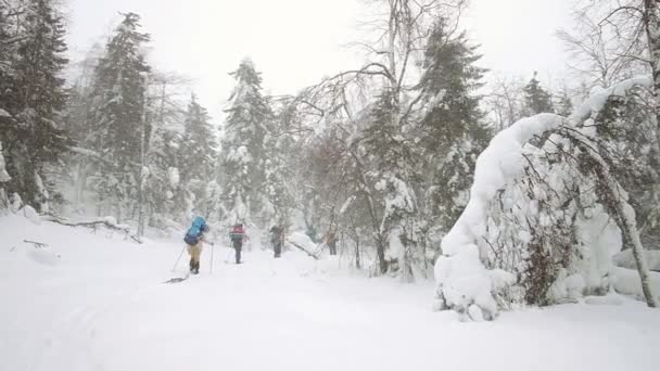 滑雪者团体滑行越野赛。在冬日阳光明媚的日子里，一群快乐的滑雪者在滑雪. — 图库视频影像