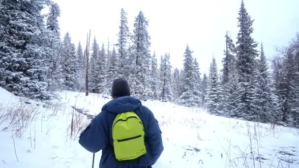 Mannelijke toerist met een hond in het winterbos. — Stockvideo