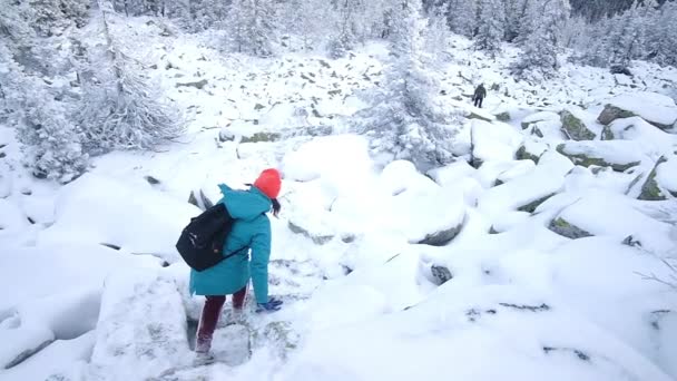 Flicka promenader genom vinterskogen i bergen — Stockvideo