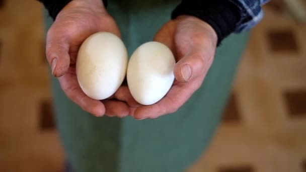 Granjero sostiene huevos en las palmas — Vídeo de stock
