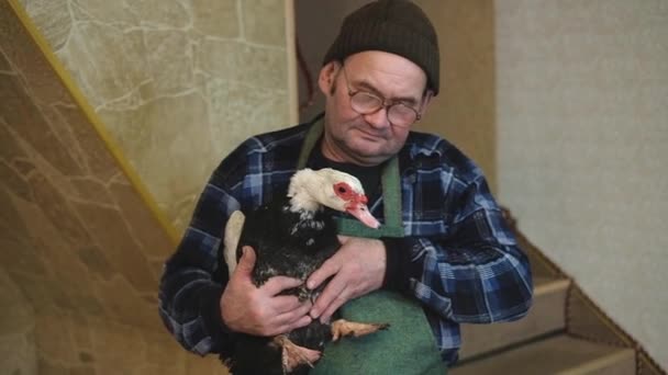 Man farmer holds goose, eco friendly farm , market place, eat healthy consept — Stock Video