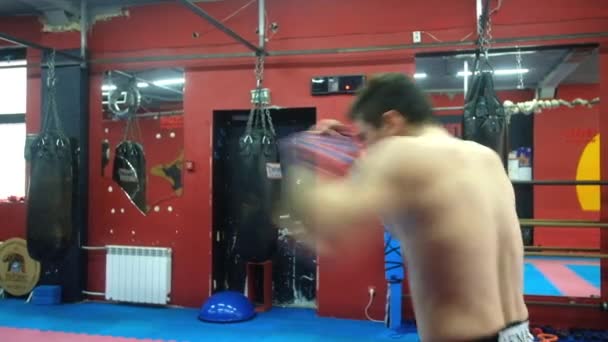Boxeador atleta está entrenando en el gimnasio. Vista de medio perfil en perfil . — Vídeo de stock