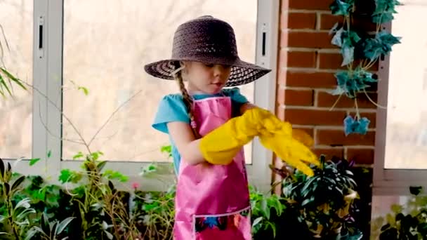 Linda niña jardinero en guantes de goma ayuda con las plántulas en un invernadero. Usar guantes de goma . — Vídeo de stock