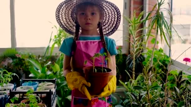 Jolie petite fille jardinière en gants et un chapeau. Fonctionne avec les semis. Sur la véranda, dans la serre, dans le jardin, à la maison. 5-7 ans . — Video