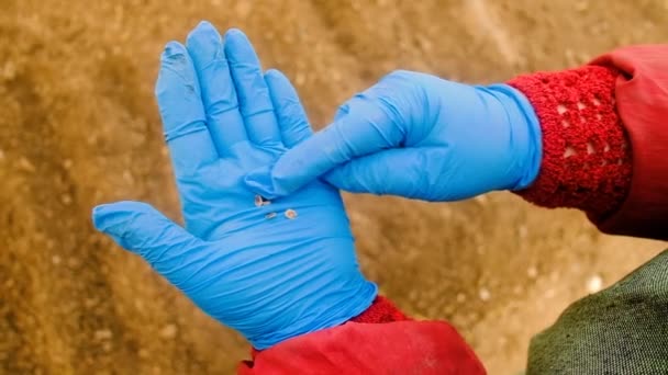 Фермер в перчатках держит семена в руках — стоковое видео