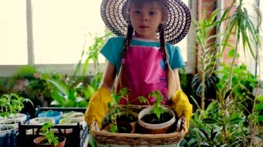 Eldivenli ve şapkalı sevimli küçük kız bahçıvan. Fidanlarda işe yarıyor. Verandada, serada, bahçede, evde. 5-7 yıl..