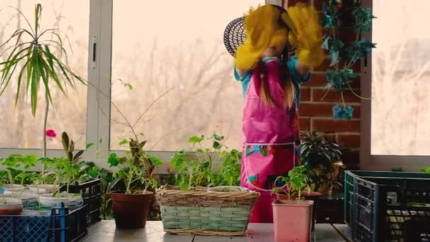 Cute little girl ogrodnik w gumowych rękawiczkach pomaga z sadzonek w szklarni. W gumowych rękawiczkach. — Wideo stockowe