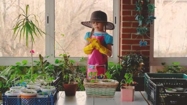 Cute little girl ogrodnik w rękawiczkach i kapelusz. Pracuje z sadzonkami. Na werandzie, w szklarni, w ogrodzie, w domu. 5-7 lat. — Wideo stockowe