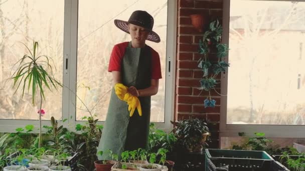 Kertészfiú gumikesztyűben. A palántákkal dolgozik. Házak a verandán. üvegház. — Stock videók