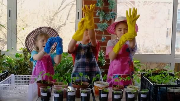 Troje dzieci ogrodników zabawiających się rękawiczkami na werandzie. Nastolatki nurkują rośliny. Dziewczyna w wieku 8 i 5 lat i chłopiec w wieku 10 lat. Smutna praca na wsi — Wideo stockowe