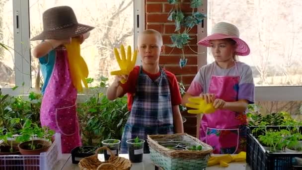 Three gardener children fooling around with gloves on the veranda. Teenagers dive plants. A girl of 8 and 5 years old and a boy of 10 years old. Sad work in the country — Stock Video