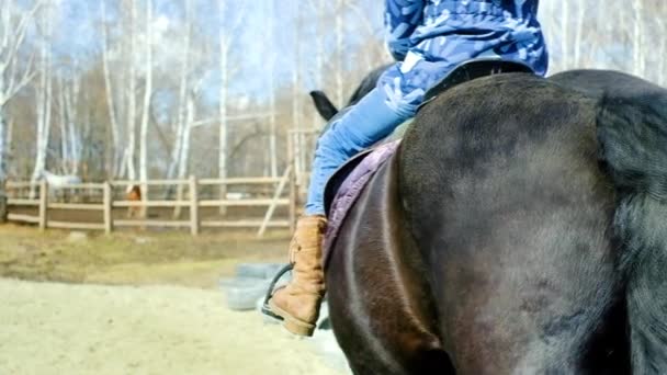 Jinete niña jinete en un casco de caballo rojo al aire libre en el parque. Primer plano de una yegua vista trasera . — Vídeos de Stock