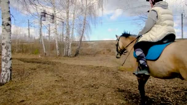 Visão traseira de uma menina cavaleiro montando um cavalo gracioso preto em uma estrada de terra — Vídeo de Stock