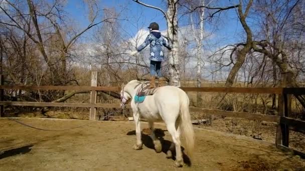 Menina passeios de pé em uma égua. Girl-jockey está envolvido em cavalo — Vídeo de Stock