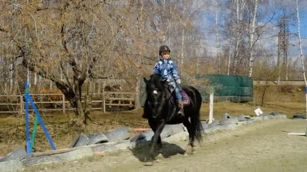 Genç kız siyah zarif bir ata binen bir at jokeyi. — Stok video