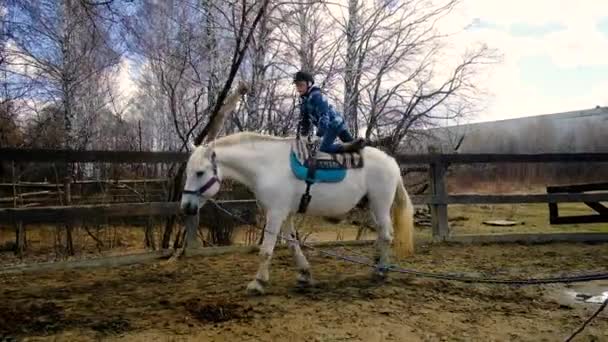 女骑师正在和一位老师骑马。在竞技场上对一匹马表演各种把戏. — 图库视频影像