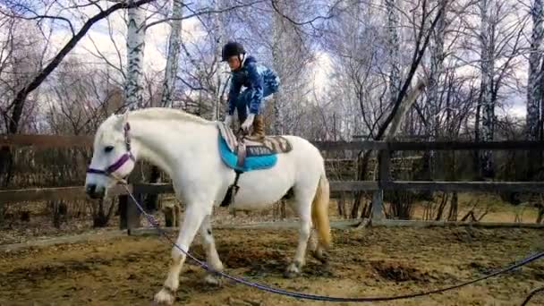 Flickjockey rider med en lärare. Utföra olika trick på en häst i arenan. — Stockvideo