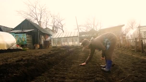 Mujer en un sombrero de 35 años de edad está plantando semillas en una cama de jardín. Trabajos de jardín de primavera. Cultivo de verduras saludables — Vídeo de stock