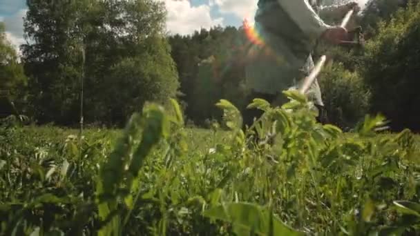 Homme fort 60-65 ans avec une faux fauche herbe verte sur le terrain . — Video