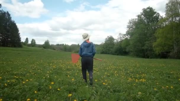 На зеленой лужайке одуванчика мальчик бегает с сеткой, пытаясь — стоковое видео