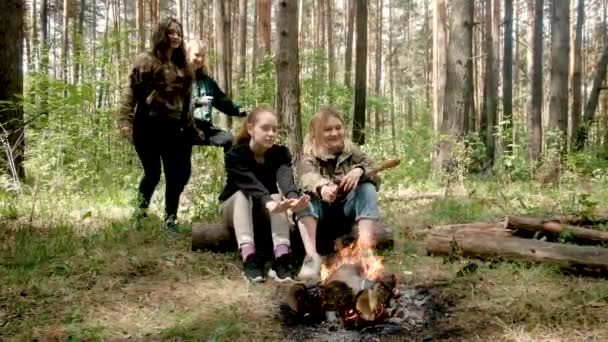 As raparigas sentam-se junto ao fogo na floresta. Salsichas fritas em uma viagem de acampamento. Fazem chá. Estilo de vida ativo na natureza. Viagem de verão. Conceito de amizade e lazer — Vídeo de Stock