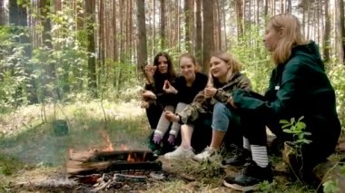 Genç kızlar ormanda ateşin yanında otururlar. Kamp gezisinde kızarmış sosis. Çay yapıyorlar. Doğada aktif yaşam tarzı. Yaz gezisi. Arkadaşlık ve rahatlık kavramı