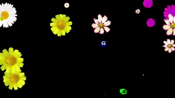 Animation in verschiedenen Farben auf schwarzem Hintergrund. — Stockvideo