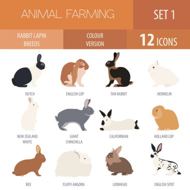 Tavşan, lapin doğurmak Icon set. Düz tasarım