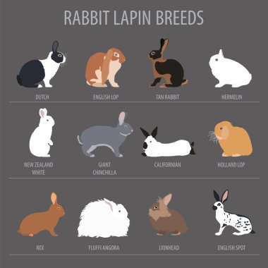 Tavşan, lapin doğurmak Icon set. Düz tasarım