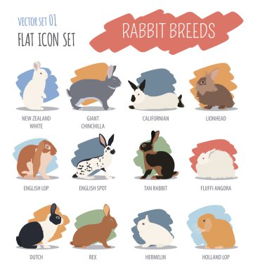 Tavşan, lapin doğurmak Icon set. Düz tasarım