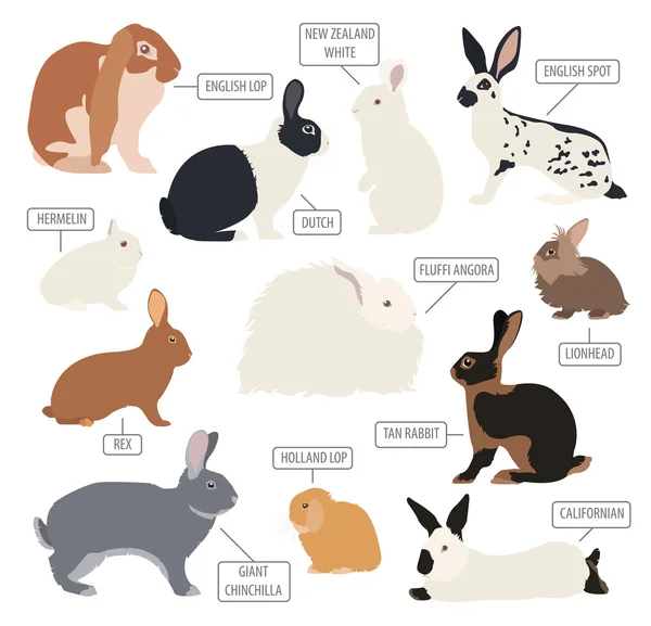 Кролик, набор иконок породы лапинов. Плоский дизайн — стоковый вектор