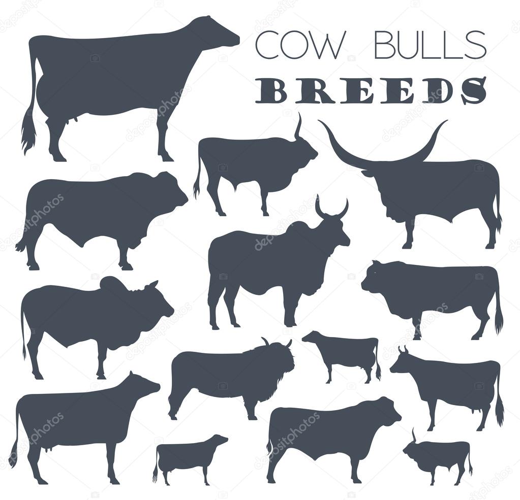 Cattle breeding. Cow, bulls breed icon set. Flat design — Stock Vector
