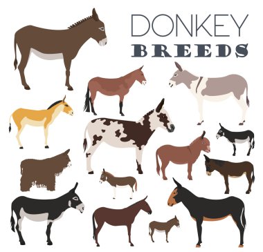 Eşek doğurmak Icon set. Hayvan tarım. Düz tasarım