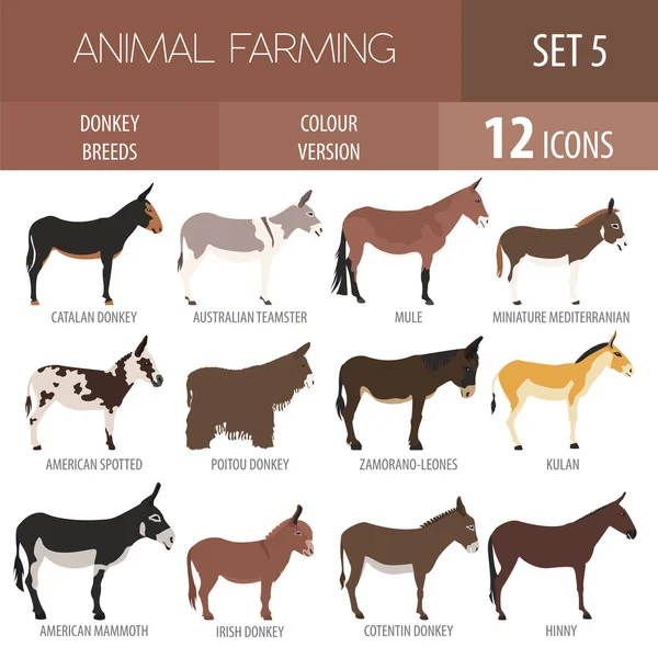 驴品种图标集。饲养动物。平面设计 — 图库矢量图片