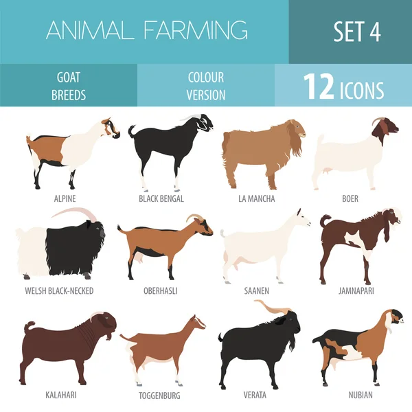 Goat breeds icon set. Animal farming. Flat design — ストックベクタ
