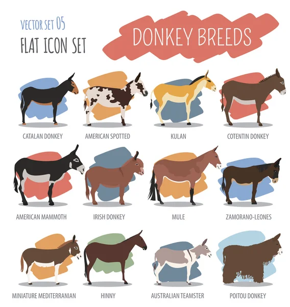 Donkey breeds icon set. Animal farming. Flat design — Stock vektor