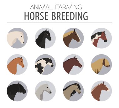 At ıslahı Icon set. Çiftlik hayvanı. Düz tasarım