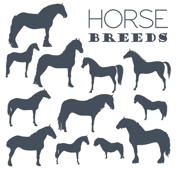 Set di icone per l'allevamento di cavalli. Animale da fattoria. Design piatto — Vettoriale Stock