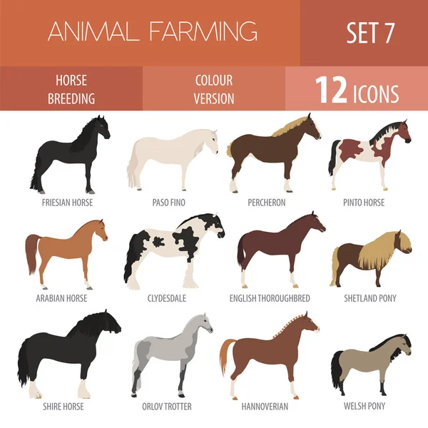 Conjunto de iconos de cría de caballos. Animal de granja. Diseño plano — Archivo Imágenes Vectoriales