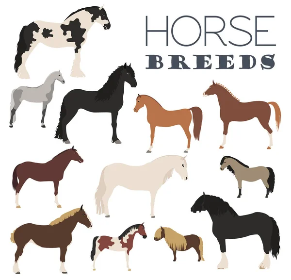 Conjunto de iconos de cría de caballos. Animal de granja. Diseño plano — Vector de stock