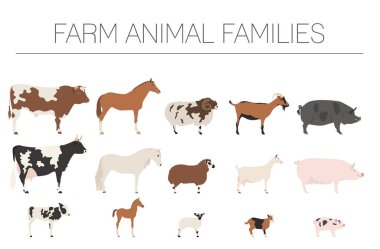 Çiftlik hayvan aile koleksiyonu. Sığır, koyun, domuz, at, keçi 