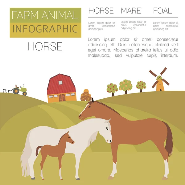 馬農業インフォ グラフィック テンプレート。種牡馬、牝馬、馬家族. — ストックベクタ