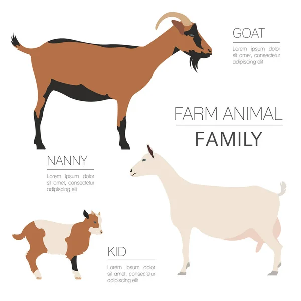 Modelo infográfico de criação de cabras. Família Animall. Projeto plano — Vetor de Stock