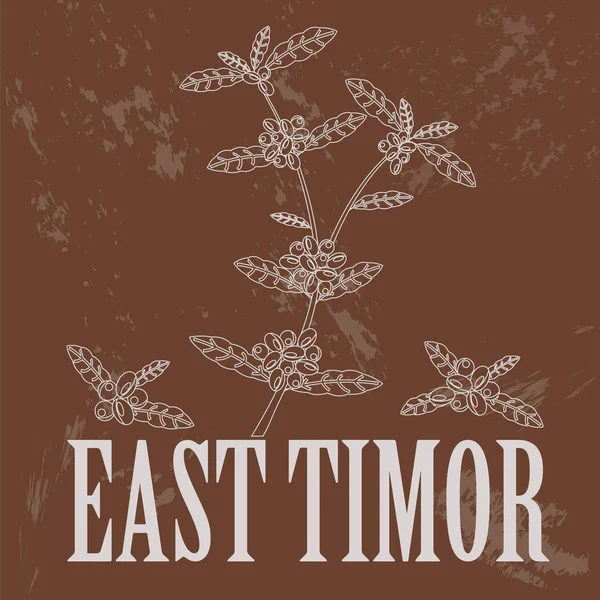 Kelet-Timor infographics, statisztikai adatok, látnivalók — Stock Vector