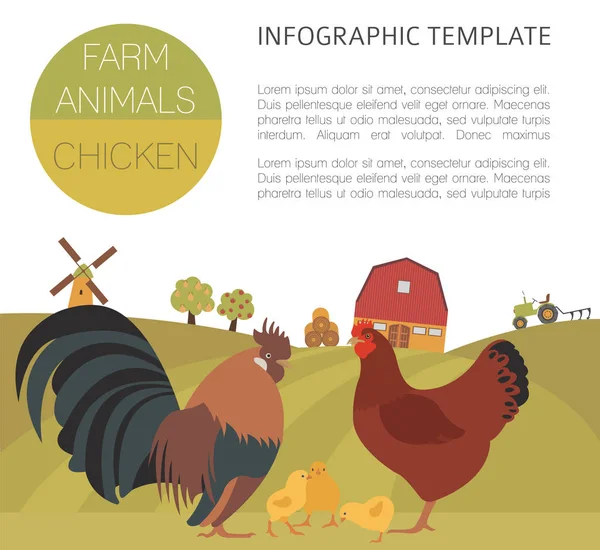 家禽饲养业。鸡家庭上白色孤立。平面设计 — 图库矢量图片
