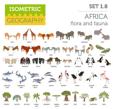Flat 3d isometric Africa flora and fauna map constructor element