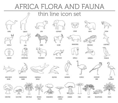 İnce çizgi Afrika flora ve fauna öğeleri. Hayvanlar, kuşlar ve se